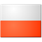 Baran/Gruszczynska flag